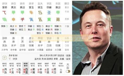 elon musk 八字